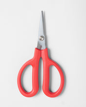 Load image into Gallery viewer, Rooster Micro Serrated Scissors