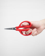 Load image into Gallery viewer, Rooster Micro Serrated Scissors